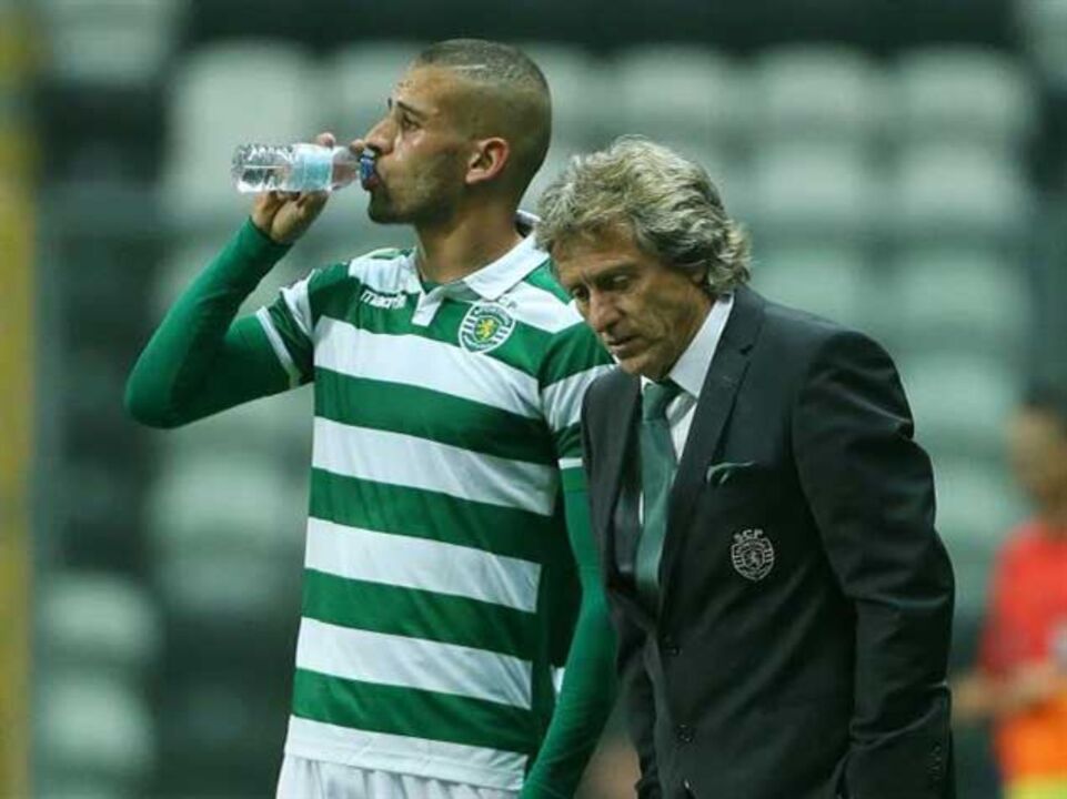 Leões à caça do borrego