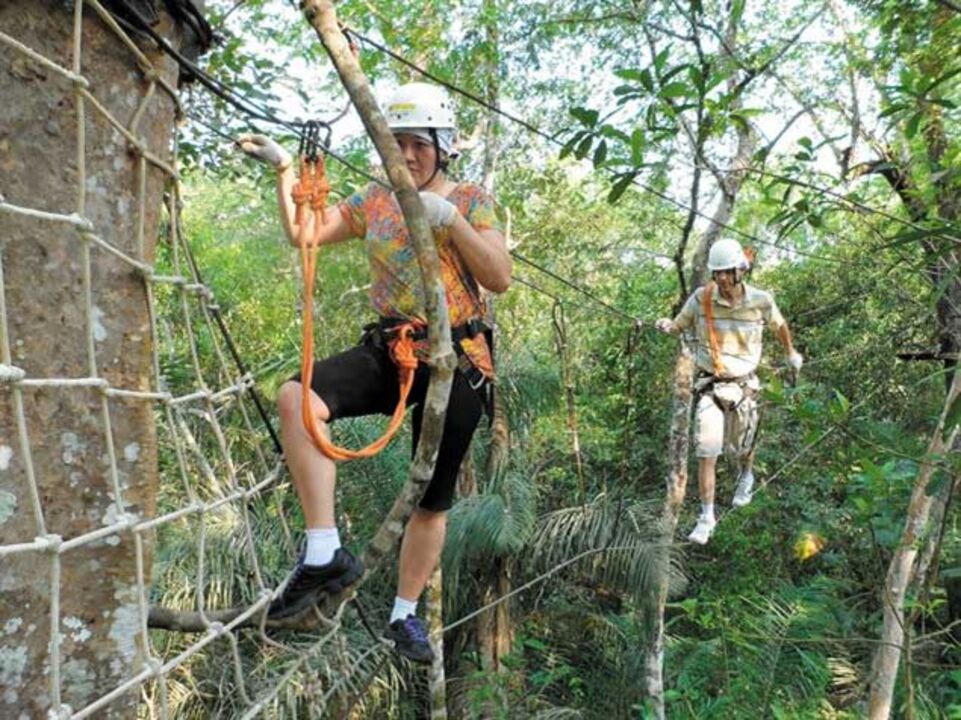 Aventura nas árvores