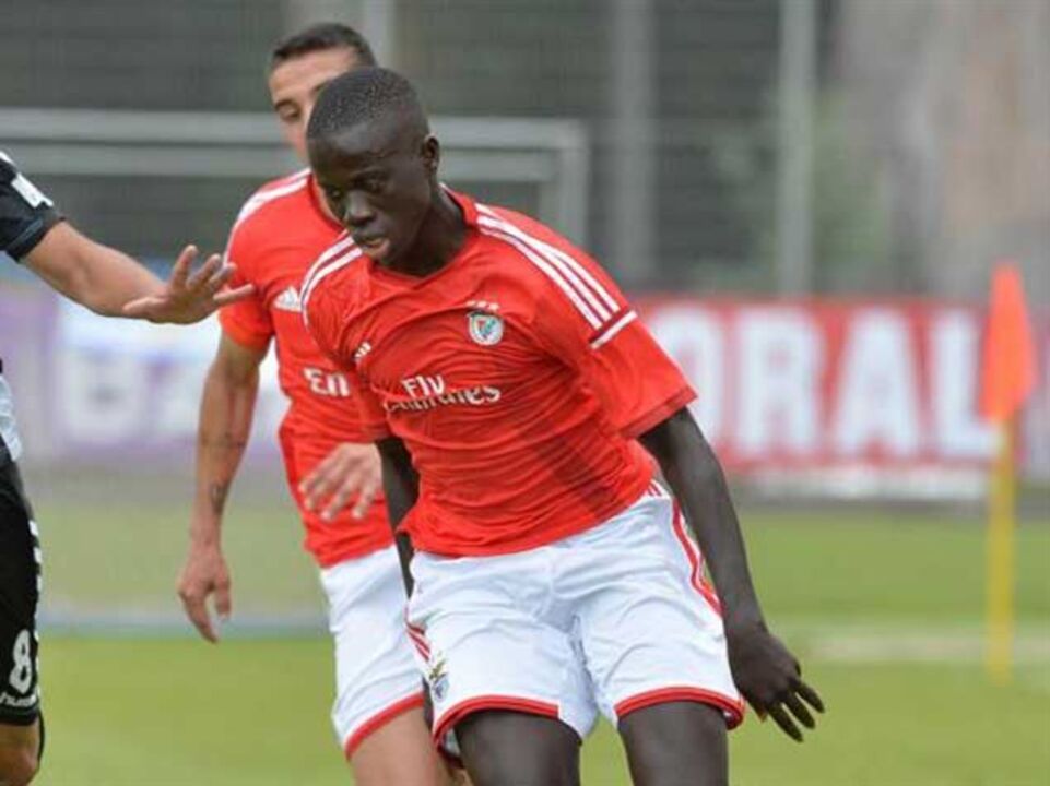 Benfica goleia Torreense com Logan Martin em destaque