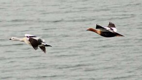 Finalmente um pé em terra