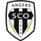 Imagem da equipa