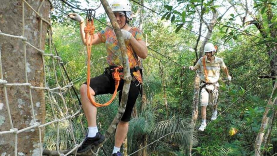 Aventura nas árvores