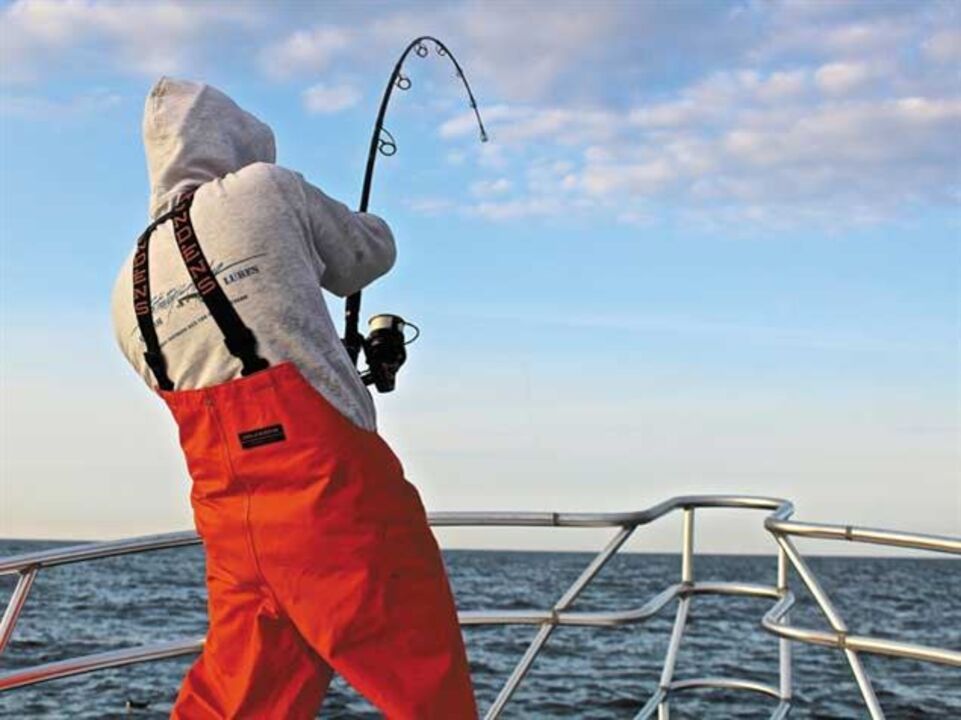 Vamos fazer pesca desportiva