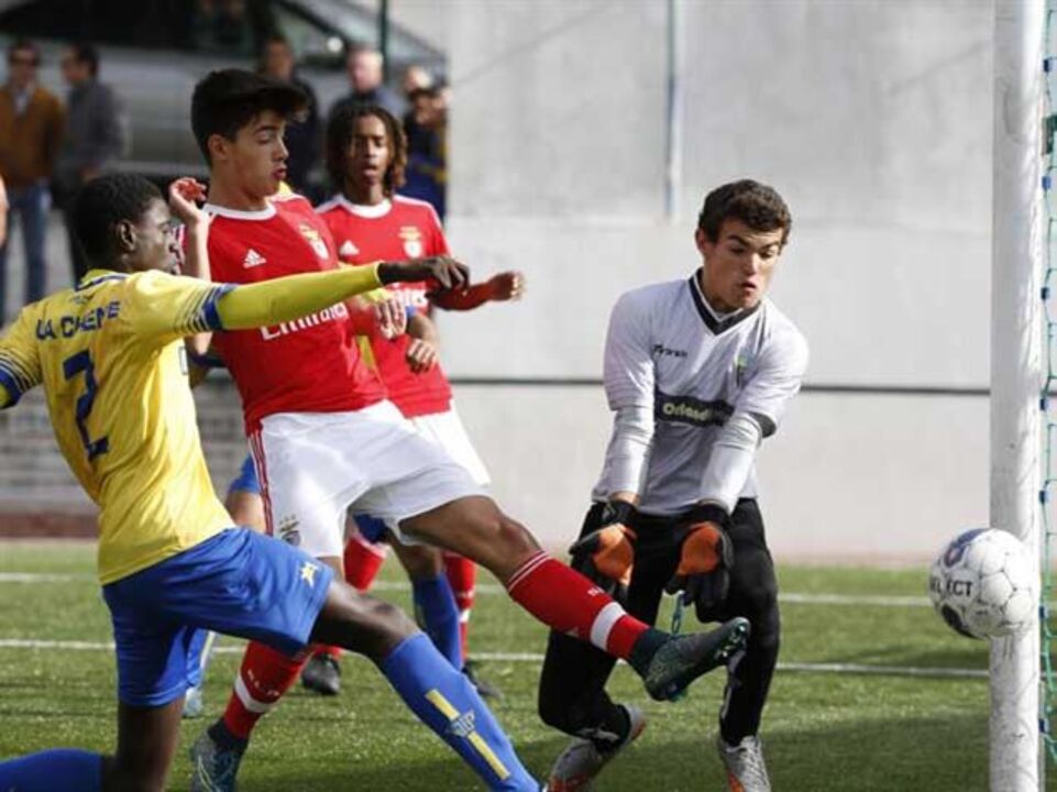 Benfica goleia e mantém registo de sonho