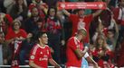 Álvaro Magalhães: «Luisão merece respeito»