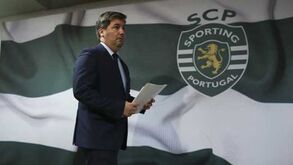 Leões indignados com processo das 