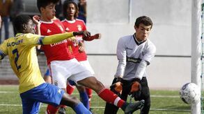 Benfica goleia e mantém registo de sonho