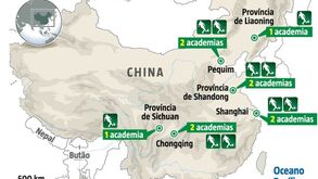 As academias leoninas e os milhões na China