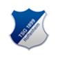 Logo Hoffenheim