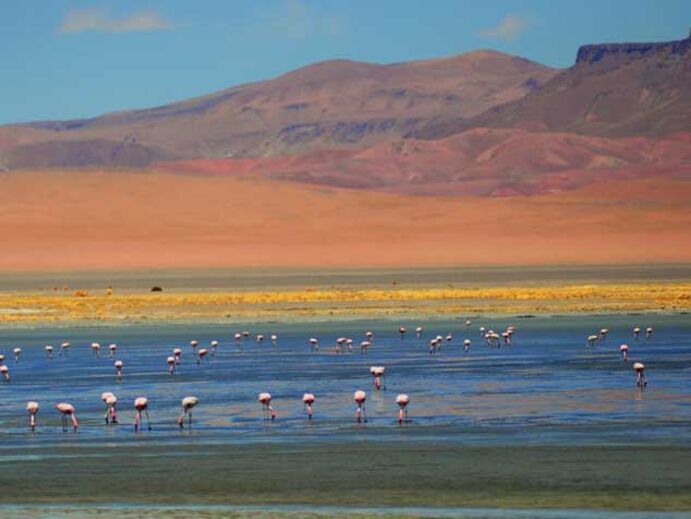 O salar de Tara mais o bife de lama