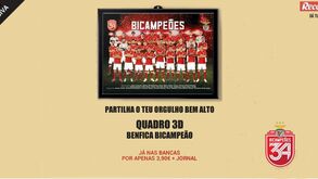 Quadro 3D SLB Bicampeão