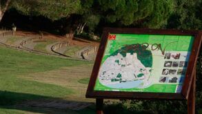 Antigo campo de tiro de Monsanto será parque desportivo em 2017