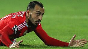 Mitroglou custa 7 milhões ao Benfica