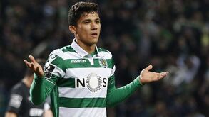 Leões esperam que agora 