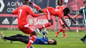 O lance do Benfica-V. Setúbal que mandou guardião para o hospital