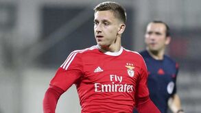 Ac. Viseu-Benfica B, 2-2: Golo de Saponjic foi insuficiente