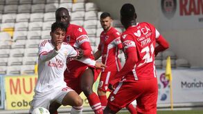 Apostador falha jackpot no Placard com derrota do Benfica B