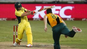 Demasiado Cricket