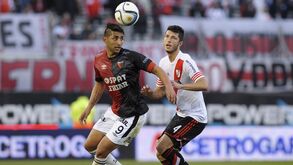 Leões na Argentina por Alan Ruiz