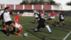 Lusitano VRSA: Vasto programa assinala centenário