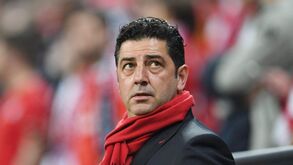 Rui Vitória: «Slimani? Toda a gente viu as situações»