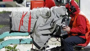 Os jogos do Benfica na TV: tudo o que precisa de saber