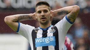 Leões seguem Mitrovic