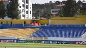 Novo relvado na Amoreira