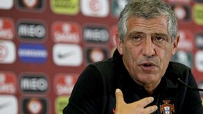 Fernando Santos: «O que acontece é que às vezes se tem galo»