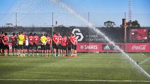 Saiba como Rui Vitória dividiu os jogadores no treino