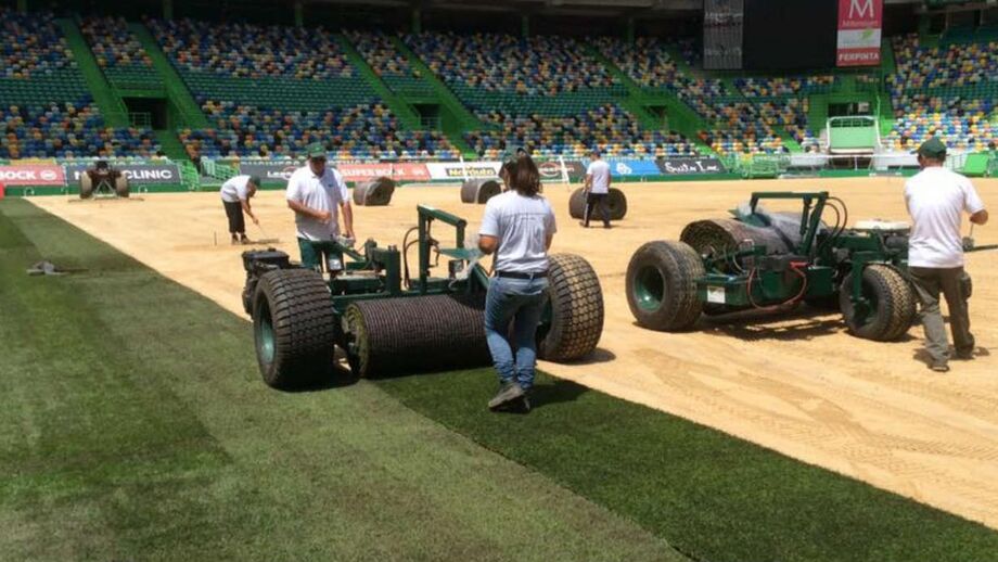 Alvalade volta a ser verde