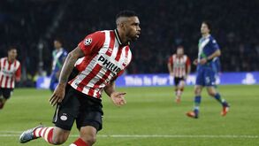 Locadia referenciado pelos leões
