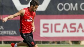 Pizzi: «Vieram jogadores com bastante qualidade»