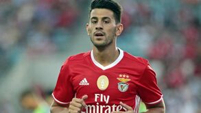 Pizzi: «Temos bastantes coisas para melhorar»