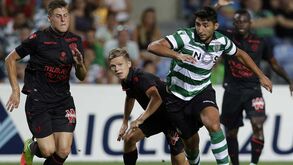 Último teste e ainda muito para estudar