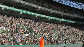 Alvalade com nova enchente na sexta-feira