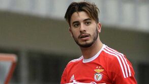 Raphael Guzzo: «Precisava de sair do meu habitat»