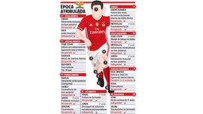 Hospital da Luz a abarrotar esta época