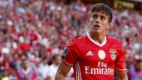 Conheça os segredos da boa forma de Cervi