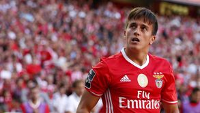 Cervi como... Gaitán para a UEFA