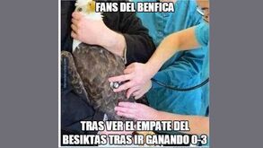 Nem a águia se safou na hora dos 'memes' se atirarem ao jogo do Benfica