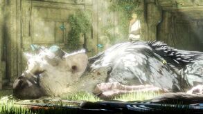 The Last Guardian: o que esperar?