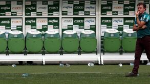 Técnico do Palmeiras trocava o título pela vida dos jogadores da Chapecoense