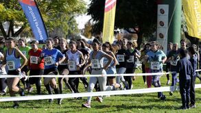 Fase local dos corta-matos do Desporto Escolar arrancou em Mirandela