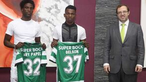 Gelson e Ary Papel: conheça os dois reforços leoninos à lupa