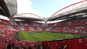 BTV dá sorte ao Benfica e... a Jorge Jesus