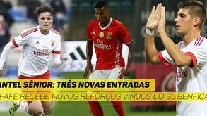 Sarkic, Reinildo e Azemovic chegam do Benfica