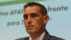 Luciano Gonçalves: «Não é normal a maior parte da equipa criticar a arbitragem»