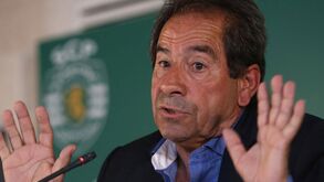 Octávio Machado: «As coisas são tão evidentes que é como ir em contramão e não admitir»