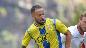 Pedro Marques e Hugo Firmino reforçam galos